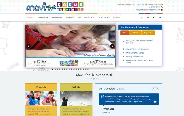 Mavi Çocuk Akademisi Web Tasarımı