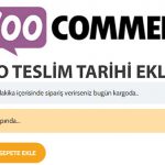 Woocommerce Tahmini Kargo Süresi Kargoya Teslim Tarihi Eklentisi